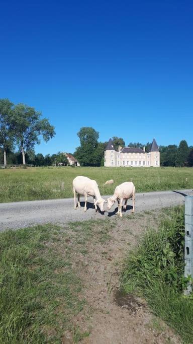 Gite A La Ferme, Avec Animaux, Fromages Et Nature Neuville-les-Decize Buitenkant foto